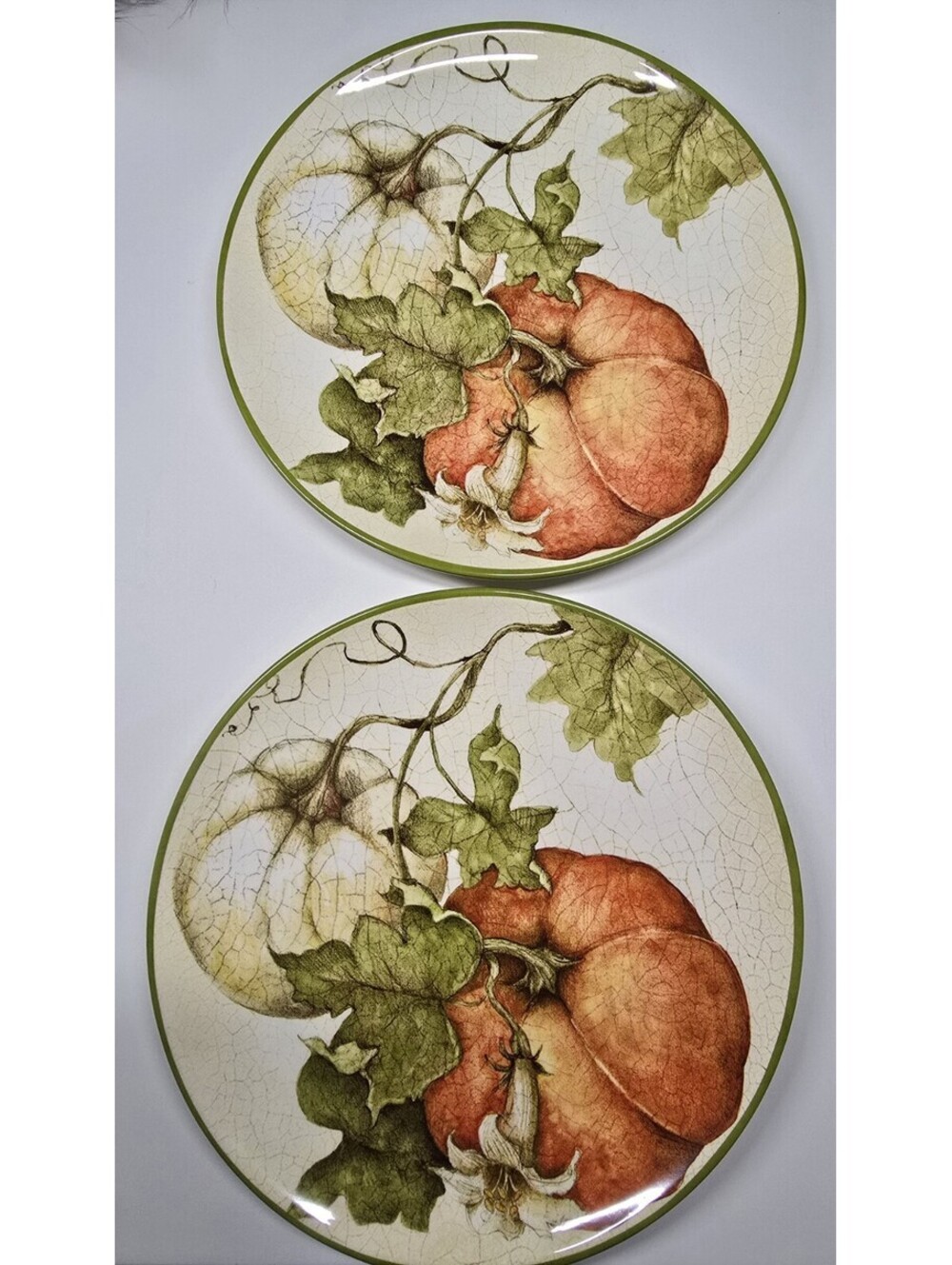 Pier 1 HARVEST GARDEN Salad Plates Set of 2 - Pier One Thanksgiving 9"